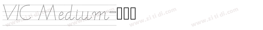 VIC Medium字体转换